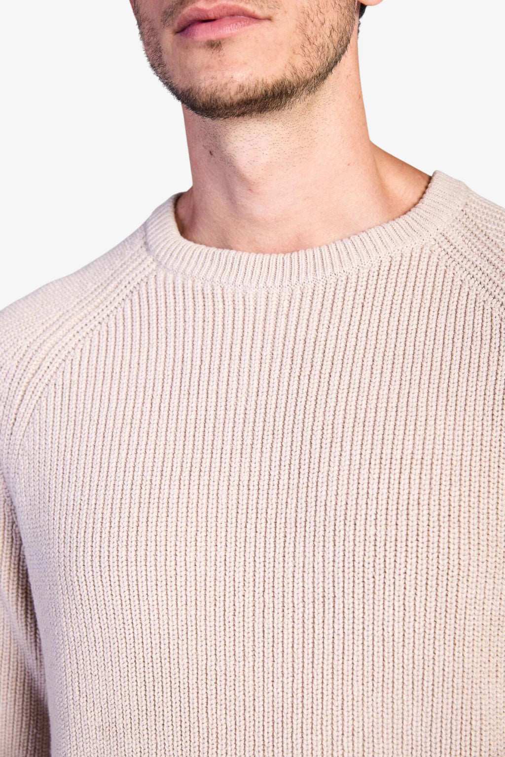 Cotton Fisherman's Rib Crewneck Sweater - Beige