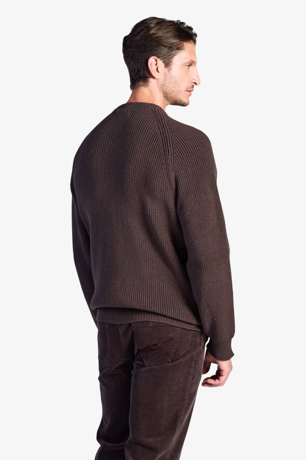 Cotton Fisherman's Rib Crewneck Sweater - Coffee